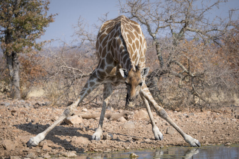 Travel Namibie 300